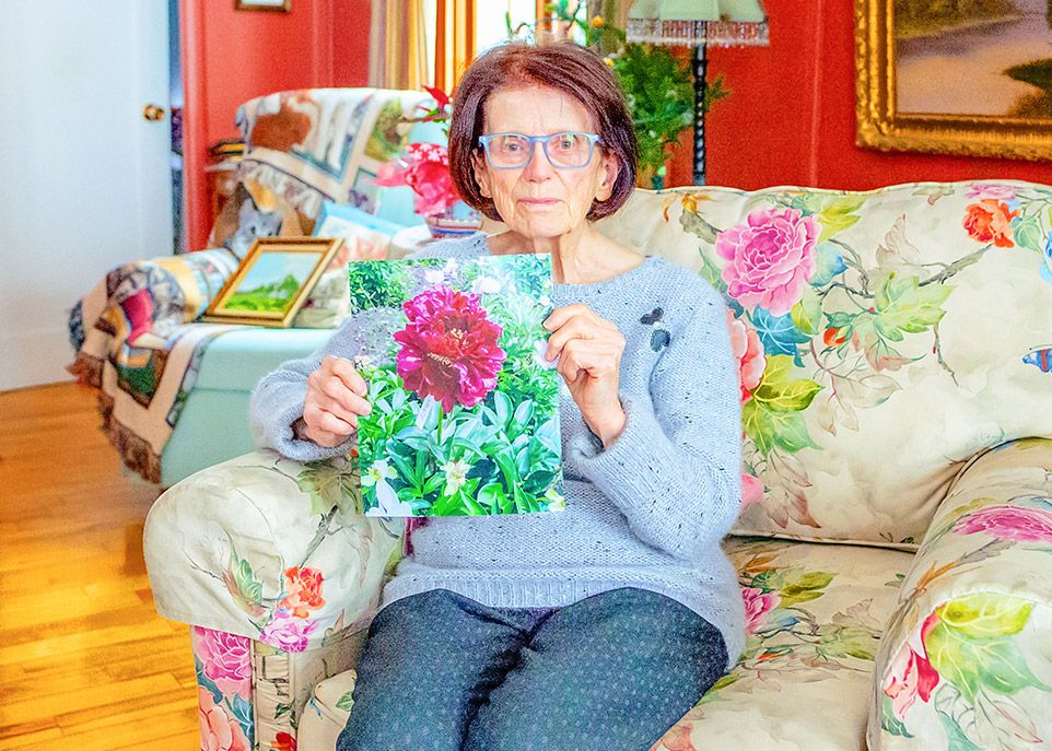 Yvette Lapointe a constitué l’une des plus riches collections de pivoines au Québec. Une partie a été déménagée de chez elle, à Matane-sur-Mer, vers le jardin pédagogique de l’Université Laval.