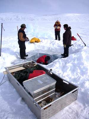 <p>Il a fallu plus d'une centaine d'heures de forage pour parvenir à prélever une carotte de neuf mètres dans des sédiments reposant au fond du Cratère du Nouveau-Québec.</p>