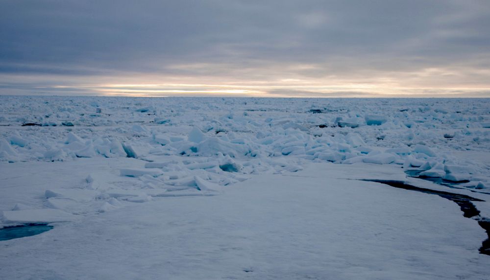 Cette photo, prise au mois de juin, montre l'ampleur du couvert de glace et de neige toujours présent sur les eaux de la mer de Baffin à la fin du printemps.