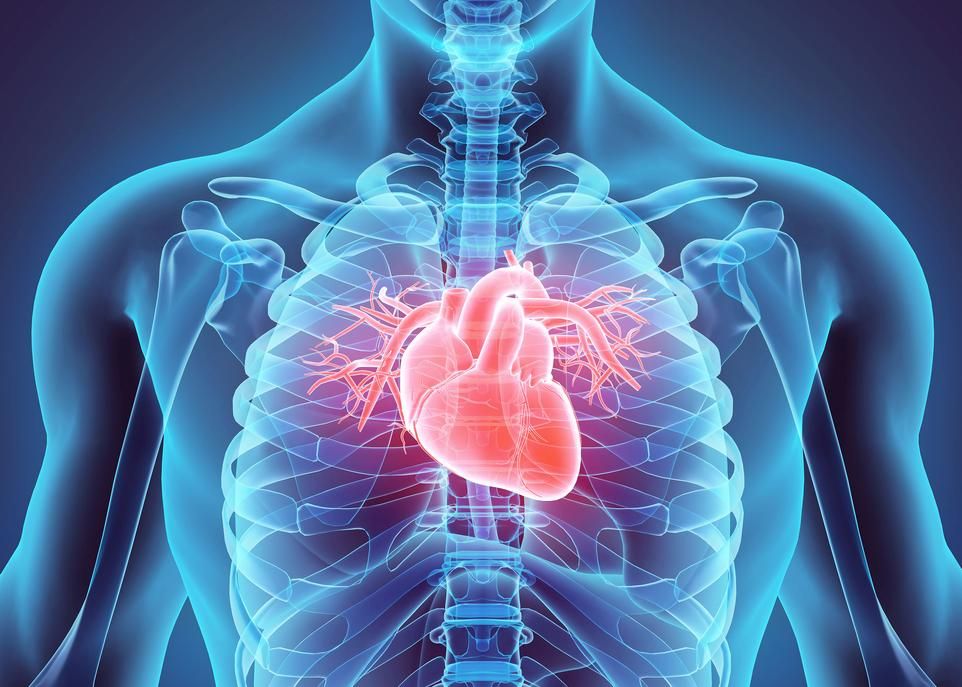 Environ 2% de la population souffre d'une maladie touchant les valves cardiaques. Chez les personnes de 75 ans ou plus, ce chiffre dépasse 10%. La plus grande partie des travaux de la nouvelle chaire portera sur l'amélioration des dispositifs et des interventions servant à traiter ces maladies.