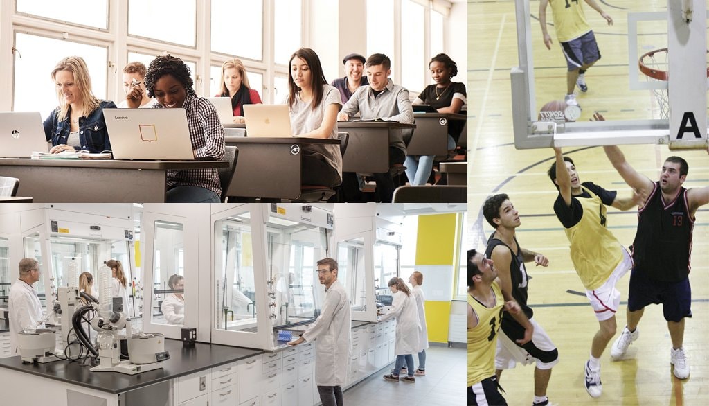 Les participants à l’Enquête canadienne auprès des étudiants à la maîtrise et au doctorat 2019 ont répondu à des questions relatives à leur expérience sur le plan scolaire, à leur expérience de vie étudiante, à leur programme d’études supérieures et à leur expérience globale dans leur université. Dans l’ensemble du Canada, les répondants hommes étaient 6564 à avoir choisi le génie contre 2715 chez les femmes. En revanche, 6658 femmes étaient inscrites en sciences sociales contre 2797 hommes.