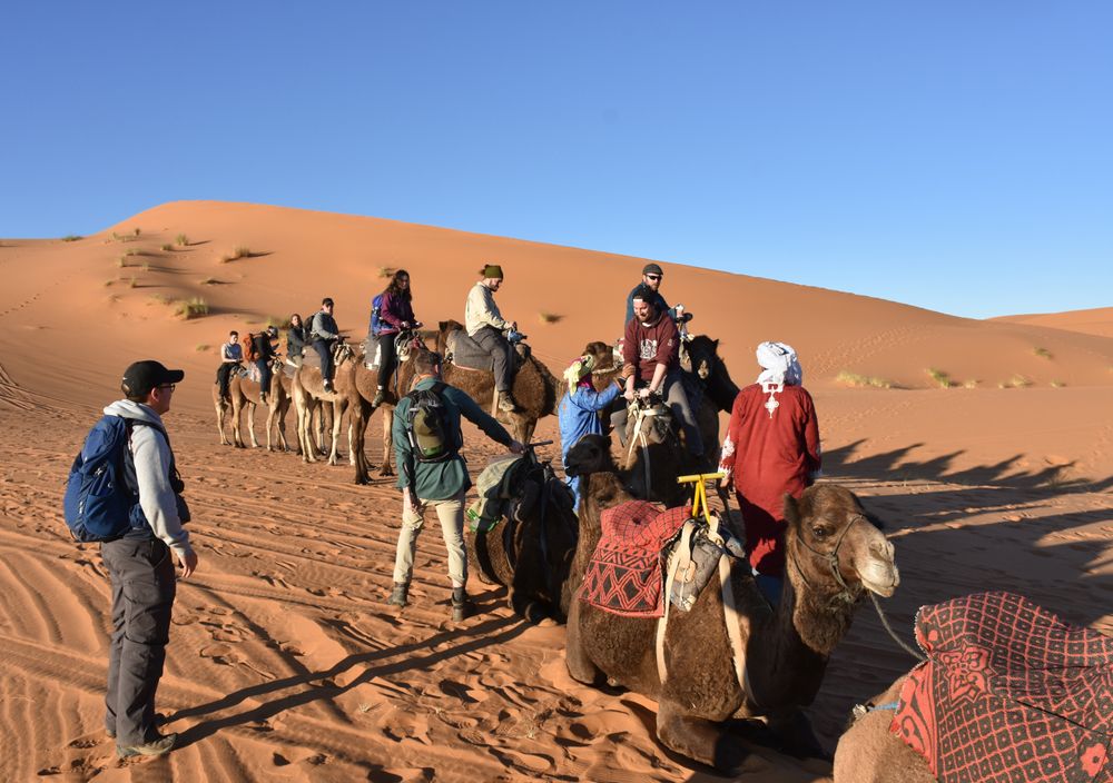 <p>Les étudiants s’apprêtent à faire une promenade à dos de dromadaire dans les dunes de sable du Sahara, à proximité de Merzouga.</p>
