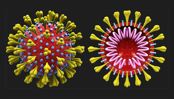 <p>Les laboratoires d'ici disposent maintenant d’appareils pour effectuer des tests moléculaires rapides. En 1 heure seulement, on peut déterminer si le patient est atteint du coronavirus chinois ou de la grippe (influenza), même s’il vient de Chine.</p>