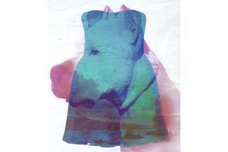 Oeuvre de Rachel St-Onge Champoux