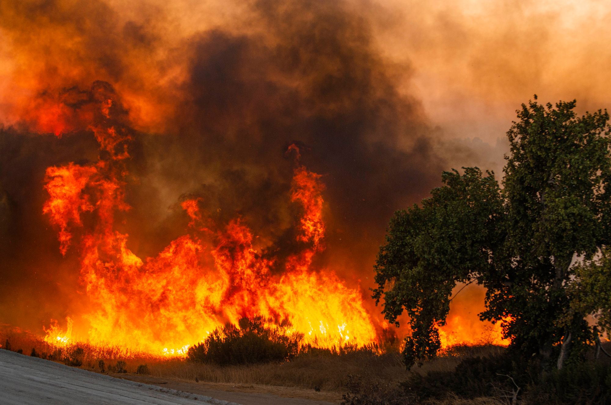À Sepulveda Basin, en Californie, les feux, débuté en après-midi le 25 octobre, ont brûlé rapidement 50 acres de terrains