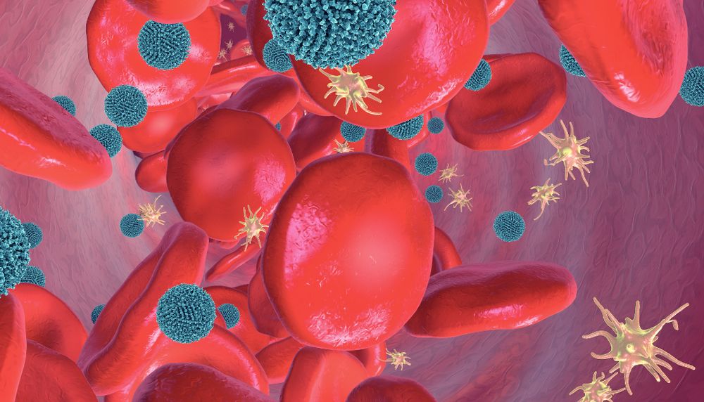 Il existe 3 types de cellules sanguines, ou éléments figurés dans le sang humain. Les globules rouges (en rouge) servent surtout au transport de l’oxygène. Les globules blancs (en bleu) sont les cellules principales de l’immunité et combattent les infections. Les plaquettes (en jaune) sont surtout reconnues pour leur rôle dans la prévention des saignements.