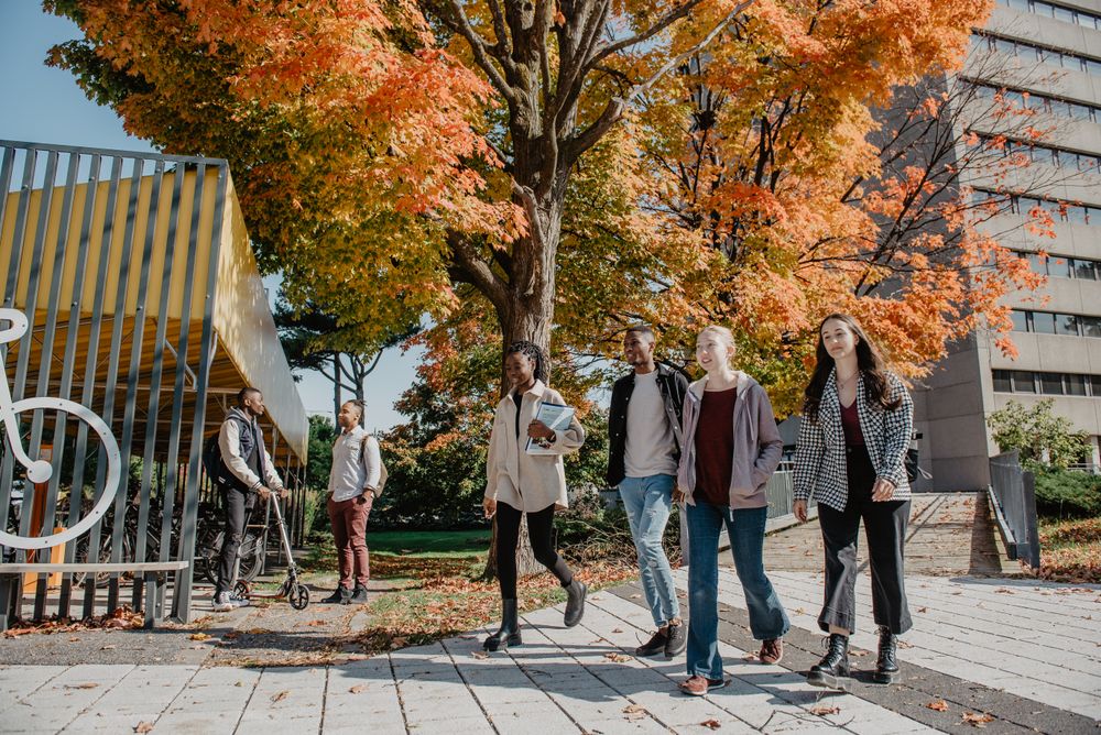 The recognition of the Dimensions program reflects the University's commitment to creating a respectful environment that ensures the well-being of its community.