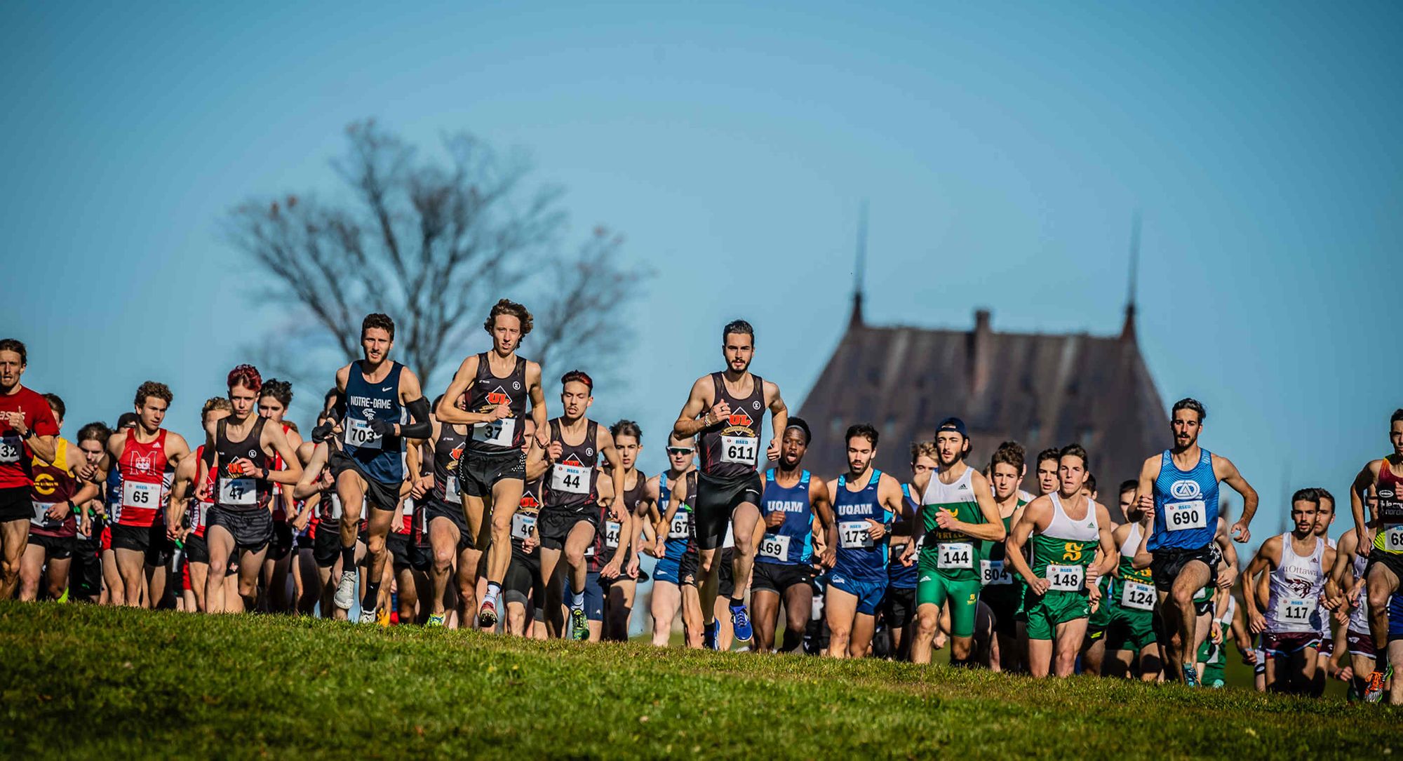 Une compétition de cross-country sur les plaines d'Abraham à Québec.