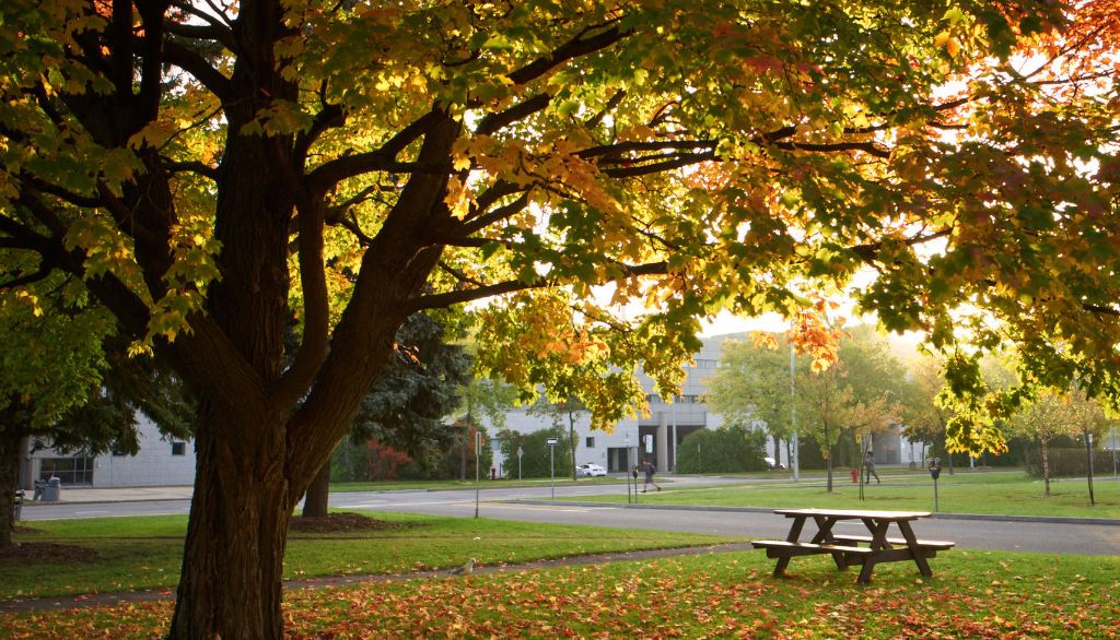 Scène automnale sur le campus de l'Université Laval