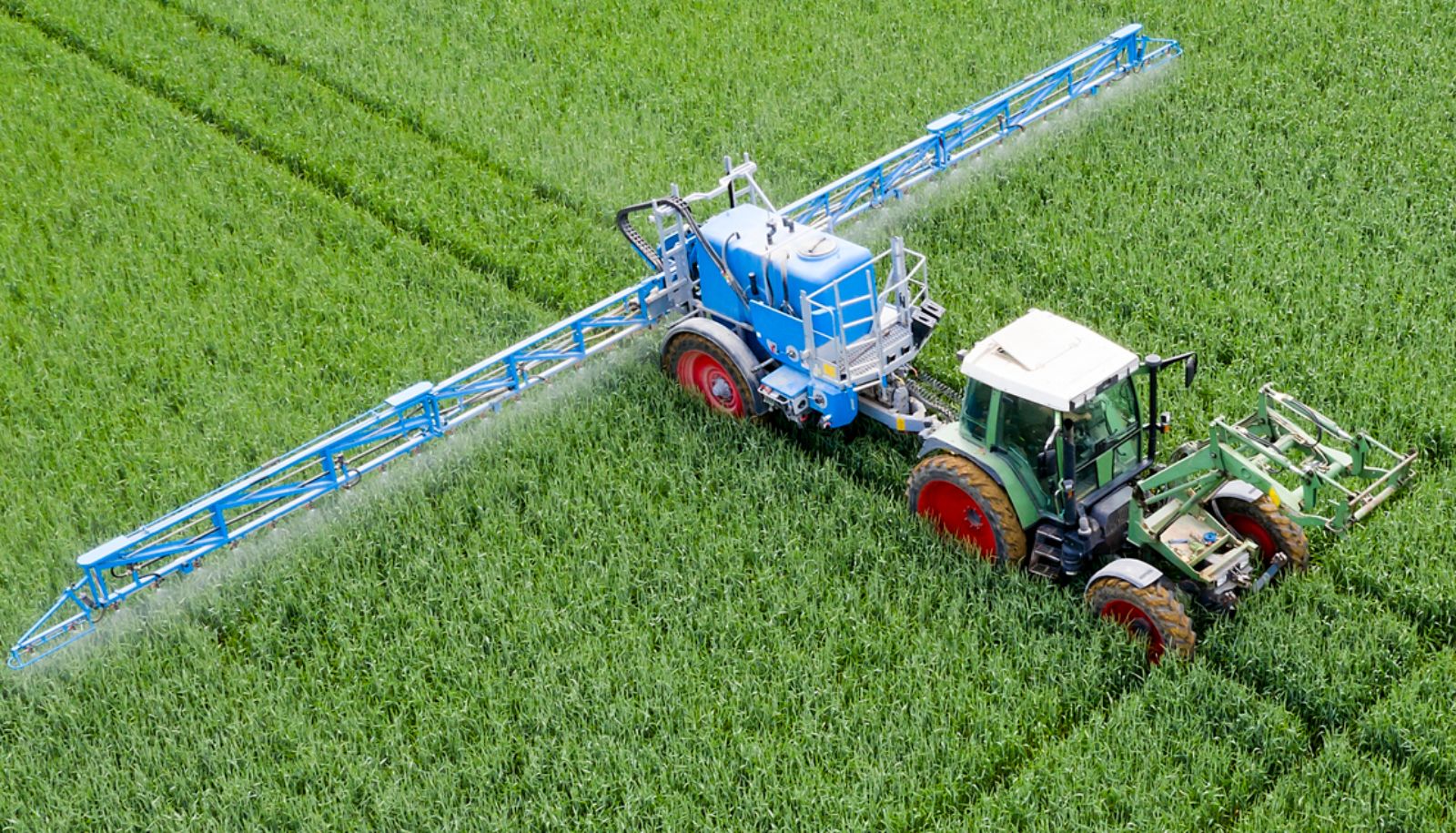 Le glyphosate est l'herbicide le plus vendu dans le monde. Ce produit et ses métabolites sont détectables dans 80% de la population.
