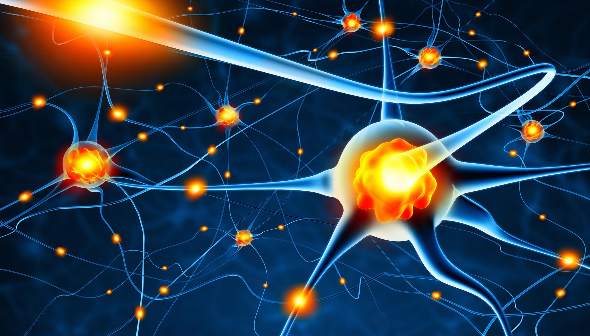 <p>La nouvelle chaire d'excellence a pour mission de mieux comprendre la pathogenèse des grandes maladies psychiatriques afin de pouvoir les détecter et les traiter précocement.</p>
