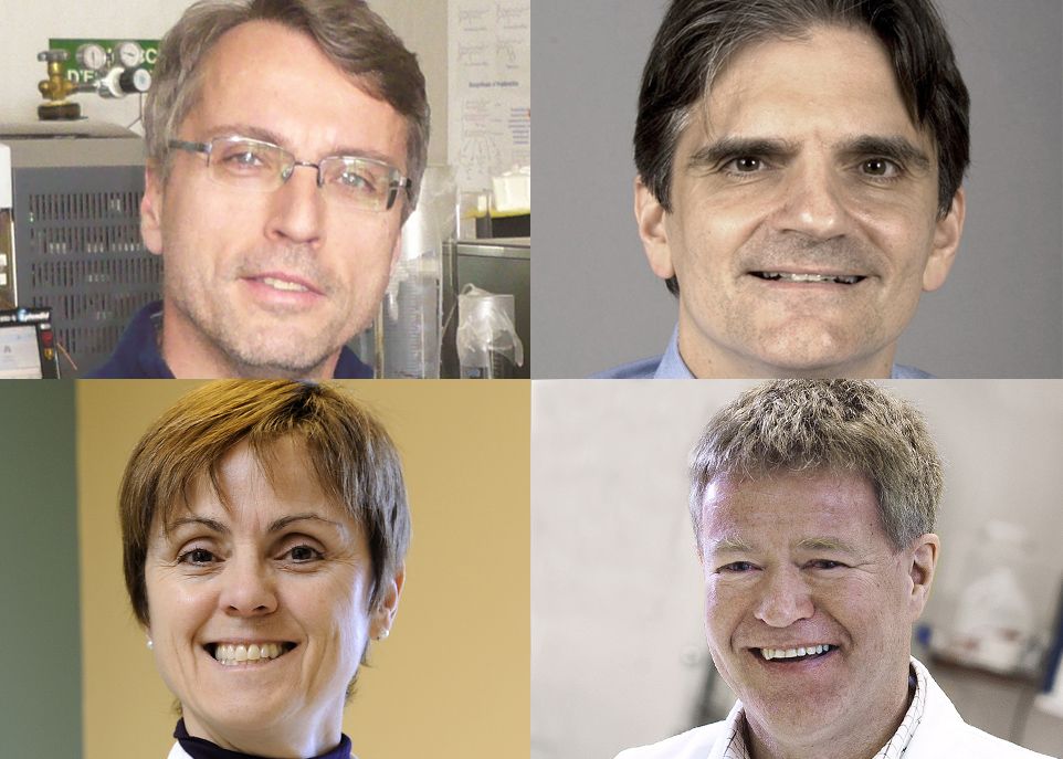 Dans l'ordre habituel: Vincenzo Di Marzo, Josep Rodés-Cabau, France Légaré et Sylvain Moineau