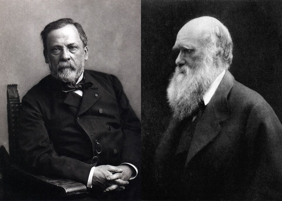 <p>En 1881, Louis Pasteur et Charles Darwin ont participé au même congrès scientifique à Londres, mais ils n'ont pas échangé un seul mot. À l'image de ce rendez-vous manqué, leurs disciplines respectives ont évolué en parallèle sans établir beaucoup de ponts.</p>