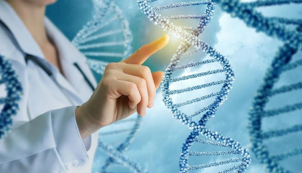 <p>Les chercheurs ont mis au point un score du risque multigénique de cancer du sein qui inclut 313 variations génétiques. En combinant ce risque à celui attribuable aux facteurs non génétiques, il est possible d'établir un risque individuel global de cancer du sein et de proposer une approche de dépistage personnalisée pour chaque femme.</p>
