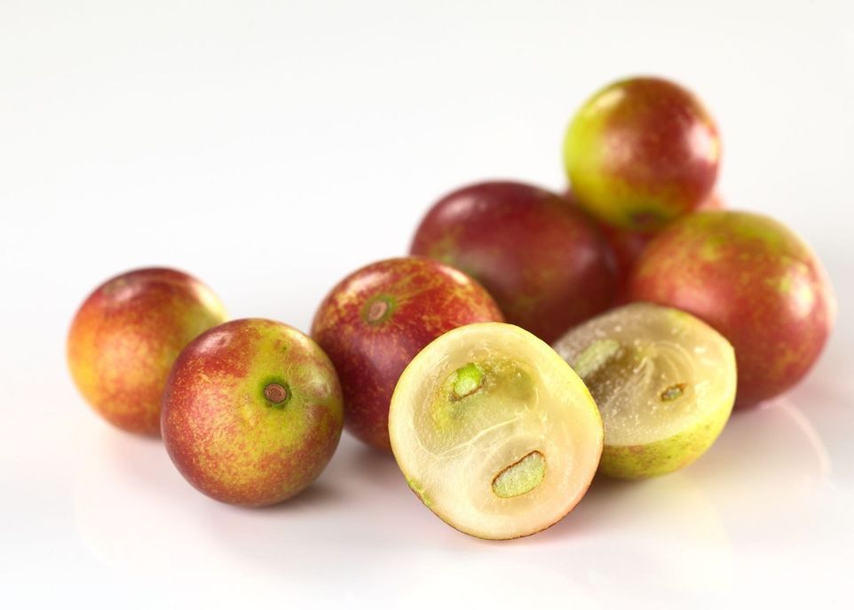 <p>Les fruits du camu-camu contiennent 20 à 30 fois plus de vitamine C que le kiwi et 5 fois plus de polyphénols que les mûres.</p>