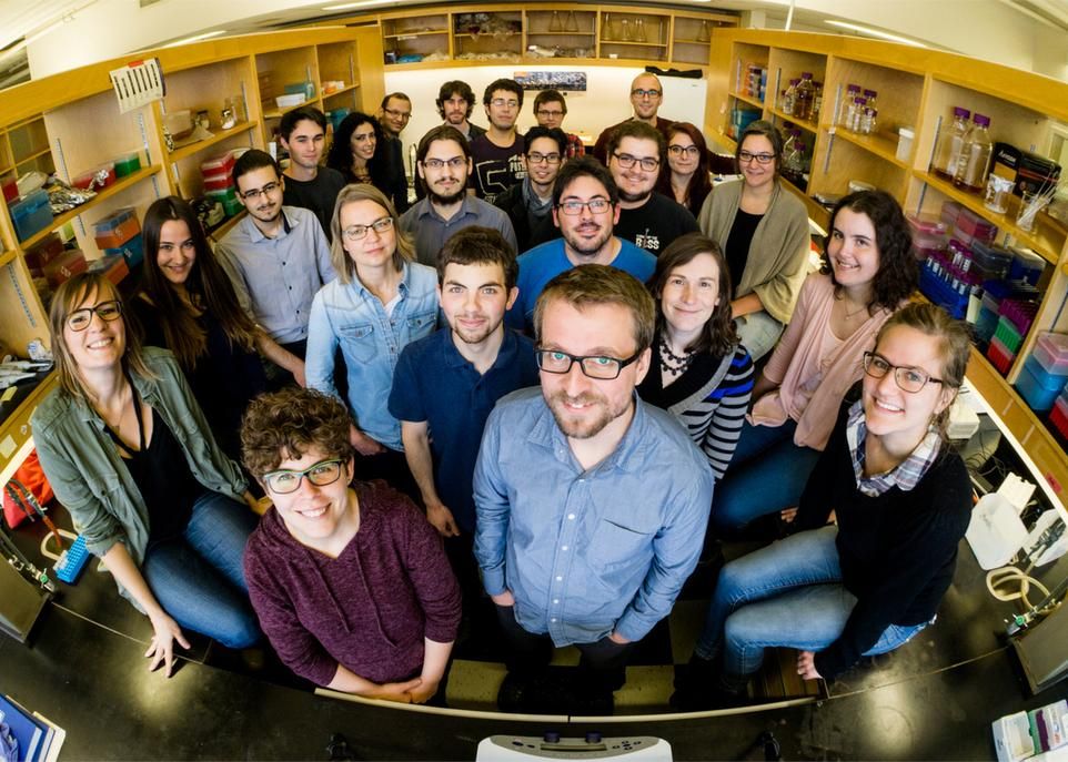 Christian Landry, au centre, entouré de son équipe. «En sciences, les honneurs sont souvent individuels, mais ils résultent d'un travail d'équipe. J'ai des étudiants extraordinaires», affirme le chercheur.