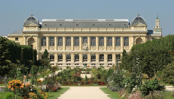 Le Muséum national d'histoire naturelle de France abrite le plus grand herbier au monde. Il compte environ 9 millions de spécimens, dont des plantes rapportées par des explorateurs et des naturalistes français qui ont parcouru le monde au cours des derniers siècles.