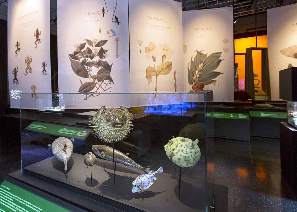 L'exposition réunit plus d'une cinquantaine d'animaux et près de 400 objets provenant de diverses collections, dont celle de la Société québécoise d'histoire de la pharmacie à l'Université Laval.