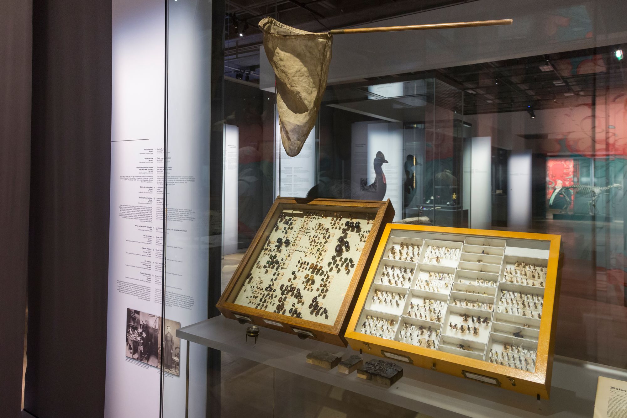 léon-provancher-filet-papillons-loupe-boitiers-cr-marie-josée-marcotte-Icône