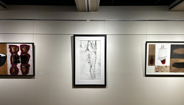 Un aperçu de l'exposition Évolution. Au centre, Anatomo VII, un procédé photographique de 1992 signé Ivan Binet.