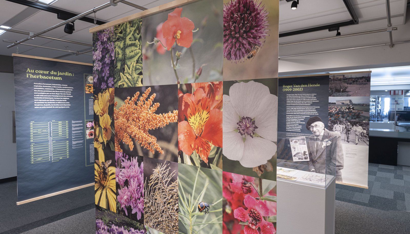 L'exposition Côté jardin – vue sur le Roger-Van den Hende ouvrira officiellement ses portes le vendredi 31 janvier au quatrième étage du pavillon Jean-Charles-Bonenfant. Notez, sur la droite, la photo de Roger Van den Hende, décédé en 2002.