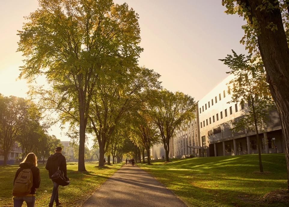 L'Université a offert 365 cours en lien avec le développement durable en 2016-2017.