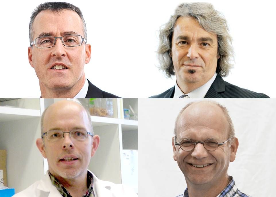 Les quatre chercheurs de l’Université financés par le programme de partenariat stratégique : (en haut) Laurent Bazinet, Louis Bernatchez, (en bas) Grant Vandenberg et Peter Vanrolleghem.