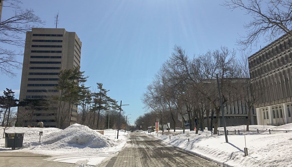 Campus de l'Université Laval un jour de printemps.
