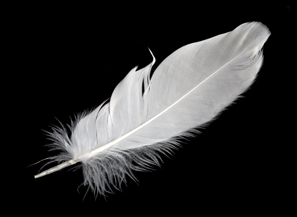 La pièce Les Miroirs verts propose, par une forme poétique, onirique et imaginaire, de se questionner sur le rapport au spirituel, au sens philosophique.