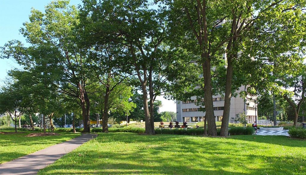 Scène estivale sur le campus de l'Université Laval.