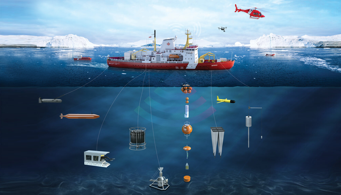 <p>Sur cette illustration du NGCC <i>Amundsen</i>, on peut observer plusieurs équipements sous-marins tels que deux robots, autonome et téléguidé, qui permettent de recueillir différentes données. La rosette permet de collecter de l’eau dans une colonne d’eau. On peut également voir le <i>box core</i> qui sert à recueillir les sédiments des fonds marins. Il y aussi les mouillages que les chercheurs laissent à une zone précise pendant un an pour enregistrer des sons et collecter différents échantillons.</p>