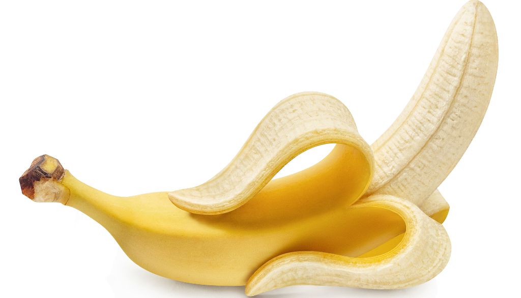 <p></p>