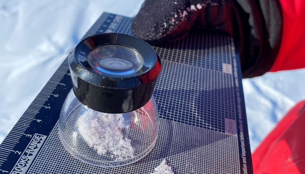 <p>On observe ici les grains de neige. Leur forme témoigne de processus dynamiques spécifiques aux différentes couches du manteau neigeux. Cette matrice unique à l'environnement arctique est influencée par divers facteurs, tels que la topographie, la présence de végétation et les différents événements météorologiques au cours de la saison hivernale.</p>