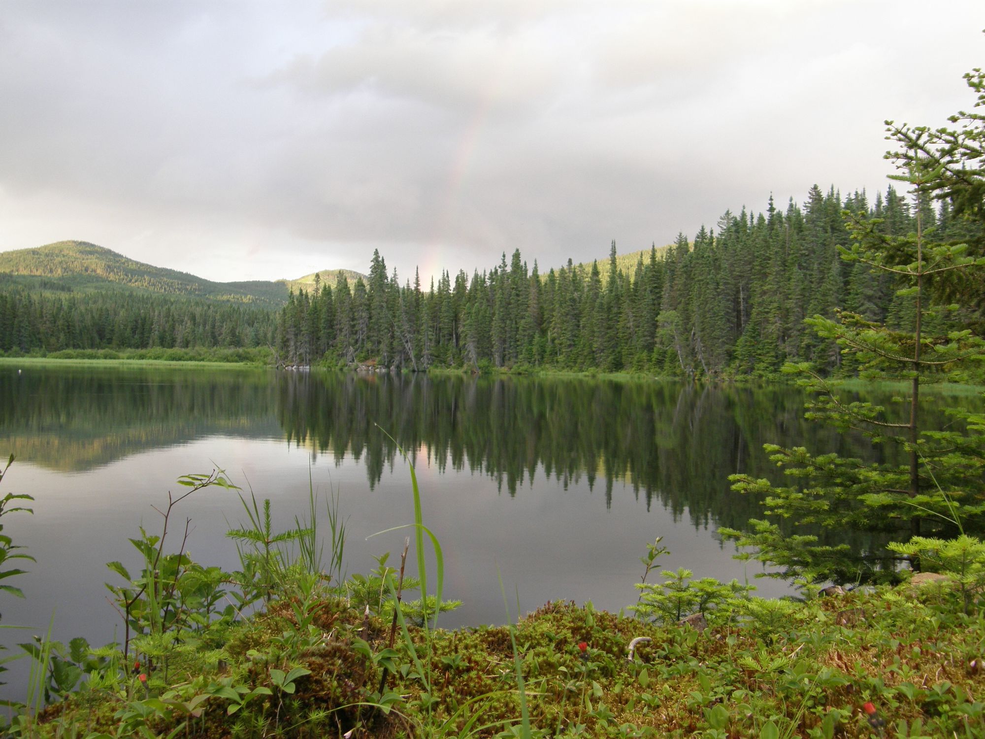 CARBONEUTRALIÉ FORÊT MONTMORENCY-FM-lac-Bedard-credit-FM--Pierre-Vaillancourt