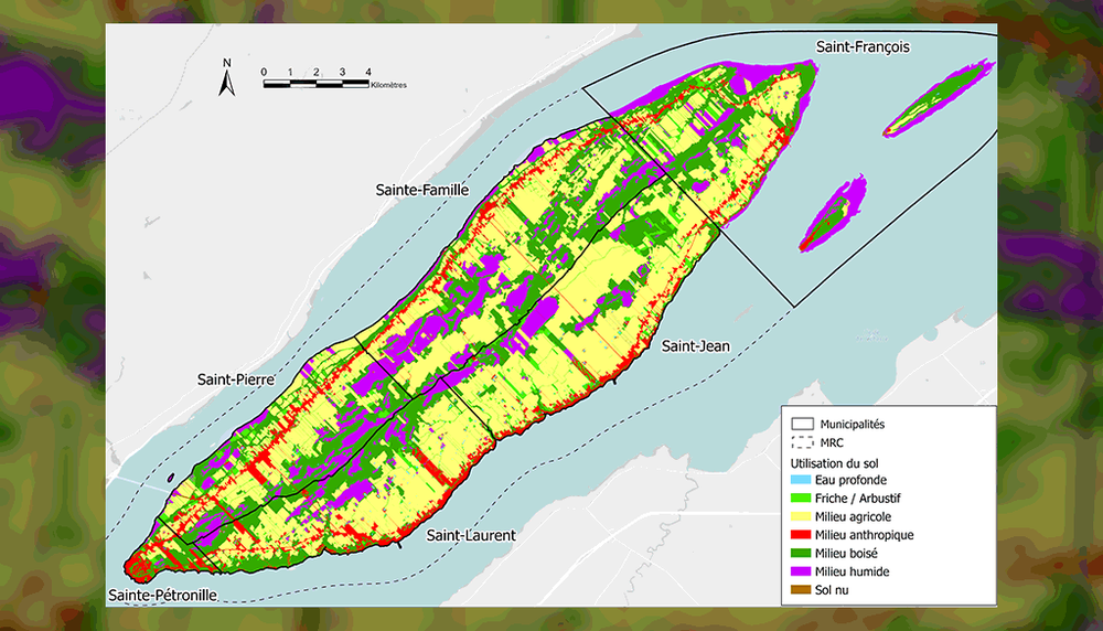 La carte d’utilisation du sol de l’île d’Orléans: le milieu anthropique (campings, golf, pépinières, routes et zones bâties) est en rouge et le milieu agricole en jaune. Les puits d’eau potable sont au même niveau que le milieu anthropique.