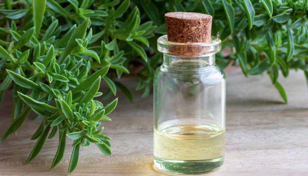 <p>L'huile essentielle de la sarriette des montagnes est celle qui produit les résultats les plus encourageants. Sa puissance est presque 10 fois plus grande que celle des deux autres huiles essentielles testées.</p>