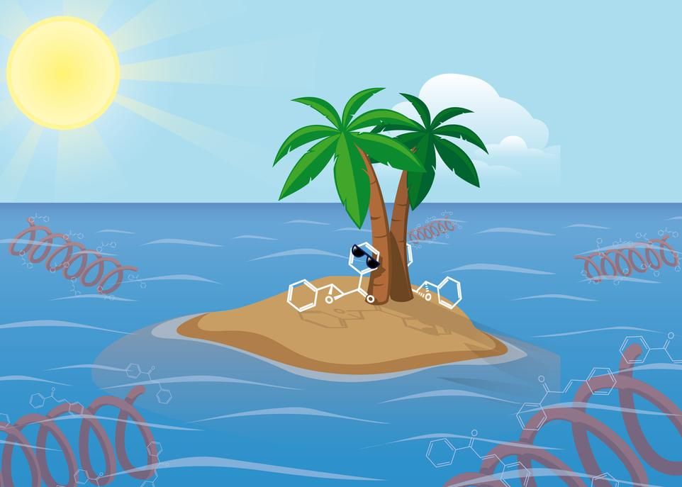 Cette image illustre ce qu'il y a de neuf sous le soleil en matière de catalyse biomimétique. Elle présente de façon humoristique les principaux éléments de la percée effectuée par les chercheurs de l'Université Laval. On y voit, dans l'eau, des polypeptides de forme hélicoïdale qui, à l'instar des enzymes dans les cellules, catalysent des réactions en milieu aqueux. Ces réactions conduisent à la synthèse de molécules à haute valeur ajoutée, symbolisées ici par les deux molécules qui se prélassent sous les palmiers.