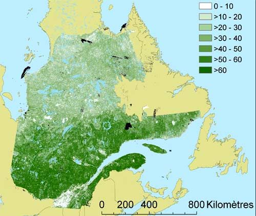 Répartition de la biomasse des arbres, en tonnes par hectare, dans les différentes régions du Québec, telle qu'estimée par les chercheurs à partir de données satellitaires.