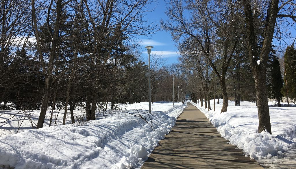 Une allée piétonnière sur le campus de l'Université Laval