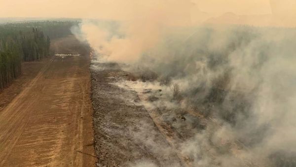 Une section de forêt brûlée dans la région près d'Edson, en Alberta, le 6 mai 2023. Les autorités provinciales considèrent que l'incendie, qui couvre environ 77 000 hectares, est «hors de contrôle», car il a envahi la zone de loisirs provinciale de Minnow Lake. 