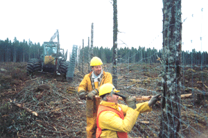 <p>Sur Anticosti, des clôtures sont installées autour des plantations de sapin pour les protéger contre le broutage des cerfs. La chasse sportive permet ensuite de diminuer la densité de cerfs à l'intérieur des enclos, favorisant ainsi la régénération du site en sapinière.</p>