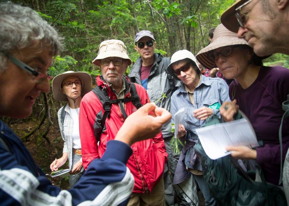 <p>En compagnie d'un expert, les participants peuvent découvrir une foule de plantes comestibles et leurs bienfaits sur la santé.</p>