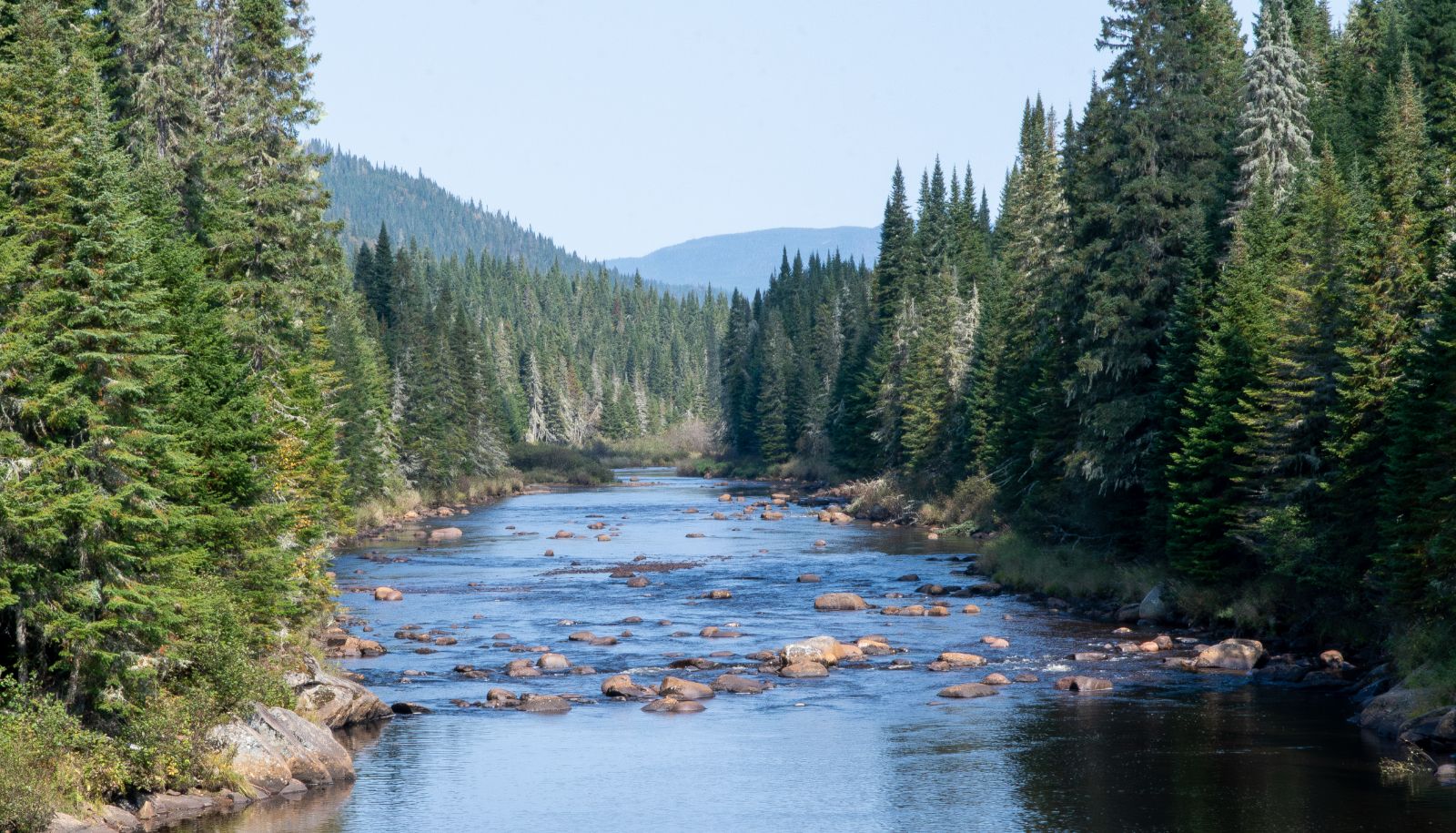 <p>La Forêt Montmorency fêtait ses 60 ans le 16 septembre.</p>