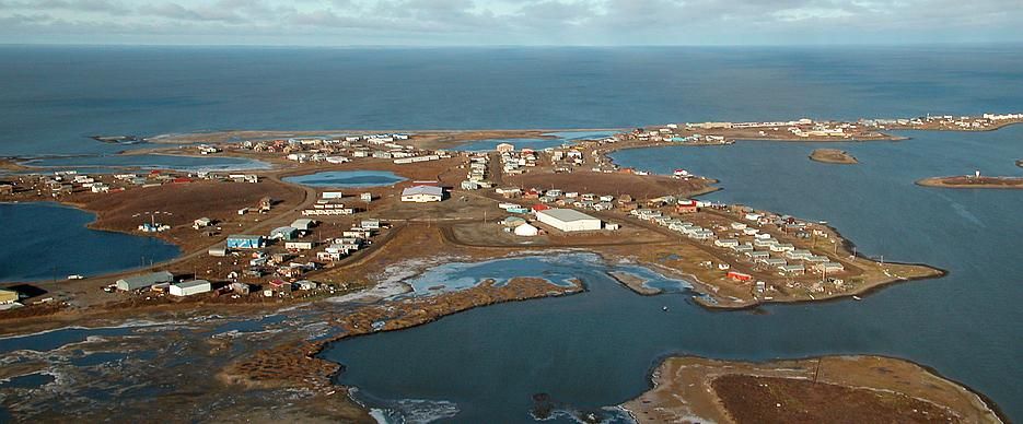 Sentinelle Nord vise à générer le savoir nécessaire pour suivre et se préparer à la transformation des milieux nordiques à diverses échelles, du microbiote aux écosystèmes.