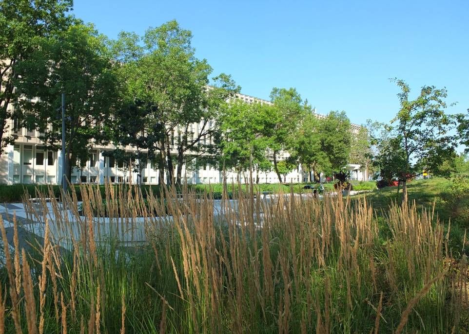 <p>Le pavillon Charles-De Koninck est situé sur l'avenue des Sciences-Humaines récemment aménagée. Les étudiants se sont approprié cet espace extérieur pour étudier, manger, faire une pause. Ils voudraient faire de même dans le Grand Axe. </p>