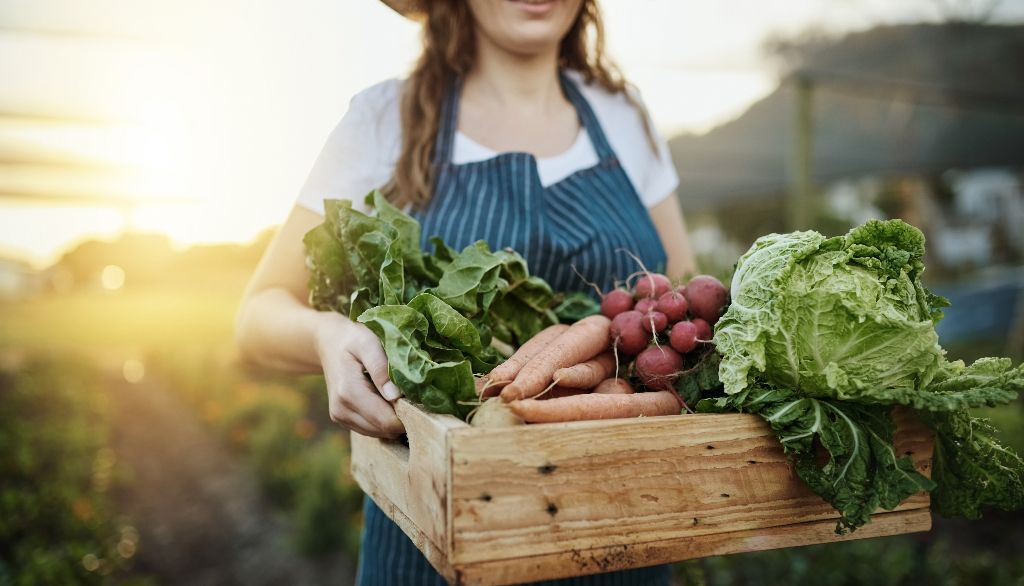 Sur les 613 agriculteurs répondants au sondage pour cette étude, 49% étaient des femmes.