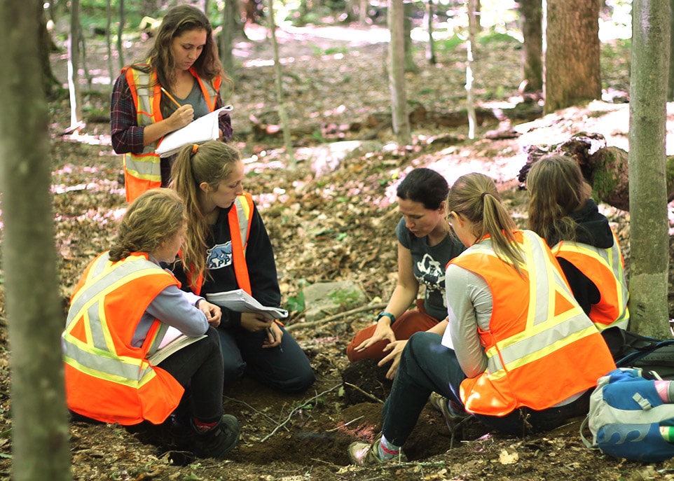 La professeure Evelyne Thiffault, que l'on voit ici avec des étudiantes à la Forêt Montmorency, s'intéresse à la gestion de la biomasse forestière.
