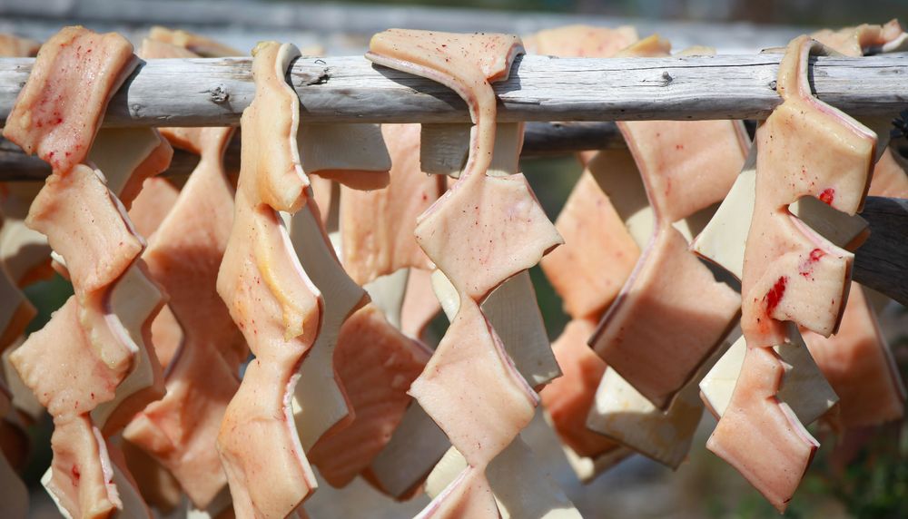 Le mattaaq est formé de la peau et du gras sous-cutané du béluga. Cet aliment prisé au Nunavik est riche en sélénonéine et en ergothionéine. 