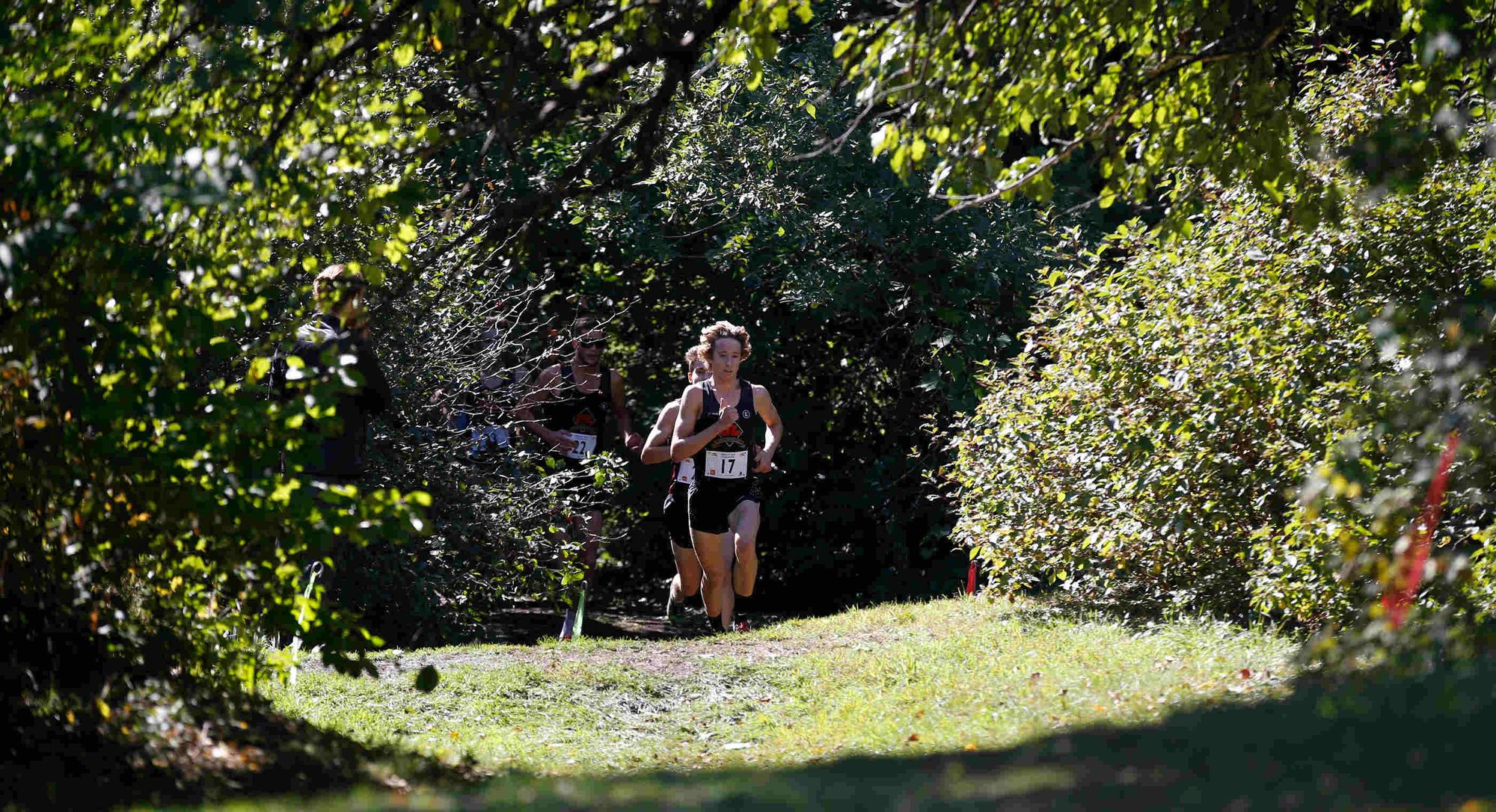 L'équipe masculine de cross-country du Rouge et Or en action.