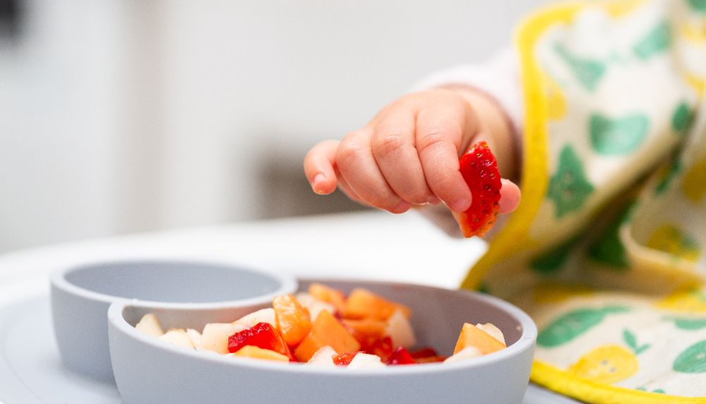 Plusieurs parents ne donnent plus de purée à leur enfant et introduisent l'alimentation solide en offrant de gros morceaux.